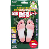 TO-PLAN 腳底樹液片30張